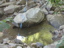 DSCN2285