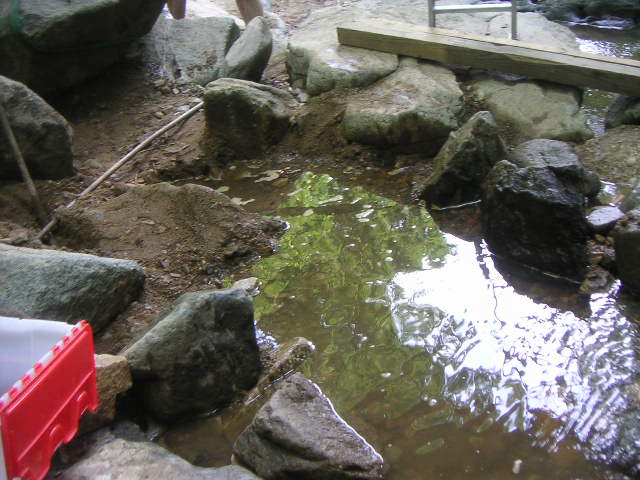 PICT4853