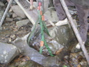 PICT0325