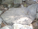 PICT0345