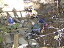 PICT0388